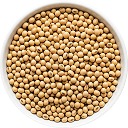 Sojaprotein